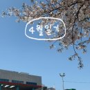 커낼여름치과보존과치과의원 | 생일, 레터링 피자, 월미공원, 고려궁지, 강화도 벚꽃, 성북동, 혜화맛집, 송도, 인천치과추천, 송도요거트