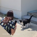 칠성면옥 이미지