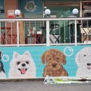 도그토피아 이미지