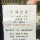 비케이호텔제주 | 제주도 커플여행 숙소 비케이호텔제주 후기