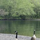 서울정육점 이미지