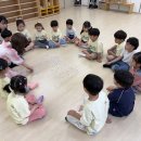 병설유치원 경북매일