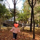 한빛키즈어린이집 이미지