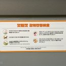 코트니타이거 이미지