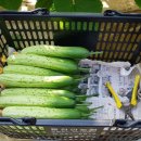 하늘그린 이미지