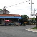 정자나무아래 이미지