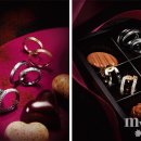 MY클럽 결혼정보 이미지