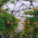 토브하우스커피3 이미지