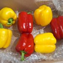 가우농장 이미지