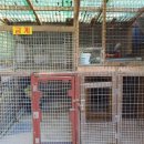 대궐오토캠핑장 이미지