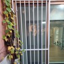 양재화이트빌라 이미지