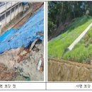 울산양정초등학교 이미지