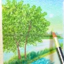 나무와색연필 이미지