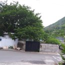 송원 공인중개사사무소 이미지