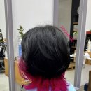 홍헤어칼라