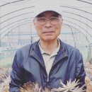 진주하씨농원