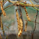 성숙농장 이미지