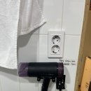 꽃피는 무릉도원 이미지