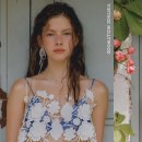 헐리우드 이미지