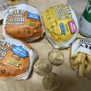 [평거동 버거]노브랜드버거 진주 평거점/가성비 햄버거