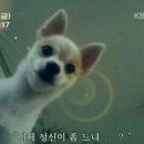 공감 이미지