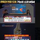 MSM 프리미엄-특가 이미지
