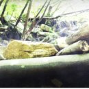 얼음골생태길 이미지