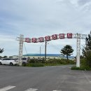 [제주] 제주레포츠랜드 제주도카트 1인승 장거리 체험 후기 산악버기카, 서바이벌, 짚라인, 사계절썰매...