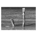 샹그릴라펜션 이미지