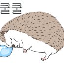 와우쥬 양산점 이미지