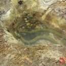 함평양서파충류생태공원 이미지