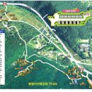 봉황자연휴양림 이미지