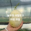 농부의 과일창고