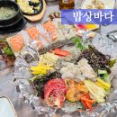 수산유치원 | 대전 물회 역대급 맛있던 밥상바다 (Ft.노은수산시장,야장)