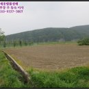 점곡초등학교 병설유치원 | [의성군 점곡면 토지(임야)경매,급매,전세] 경상북도 의성군 점곡면 윤암리 산57. 2017타경617