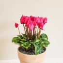 (주)인풀 이미지