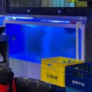 이도횟집 | 신당동 맛집 추천 신당동 횟집 이도 A세트 후기(주차가능, 콜키지 1병 무료, 민어 껍질 민어 부레)