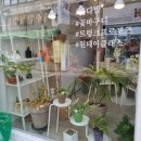 꽃집백사장