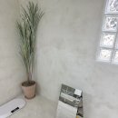 말랑말랭 이미지