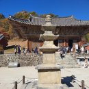 [전북 부안 내소사 돌개마실 캠핑장 후기] 가을 캠핑 / 단풍 명소 캠핑장 / 아이들과 가 볼 만한 곳...