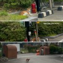 지민63 | 오월이 머문 자리