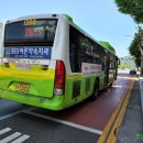 사파동211 이미지