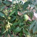 둘리농장 이미지