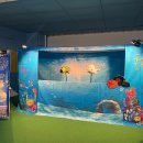 진도서초등학교 이미지