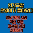 은영가족농장 | 인간극장 은영이가 돌아왔다 당진 사과 택배 주문 (+과수원 체험)