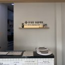 유성준동물병원 | 내돈내산 부산 동물병원 유성준동물병원 강아지 스케일링 상담 후기