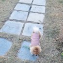 경주 수약국 이미지