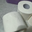휴지 | 라벤더향 두루마리 휴지 솔직후기