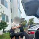 꾀꼬리산장 | 서울 근교 계곡 양주 펜션 “꾀꼬리산장 힐링펜션” 수영장, 바베큐