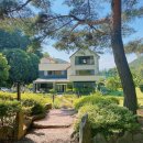 벳소캠프 이미지